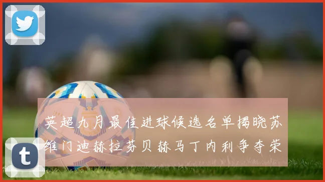 英超九月最佳进球候选名单揭晓苏维门迪赫拉芬贝赫马丁内利争夺荣誉