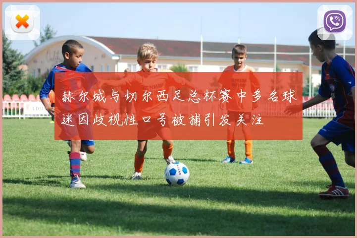 赫尔城与切尔西足总杯赛中多名球迷因歧视性口号被捕引发关注