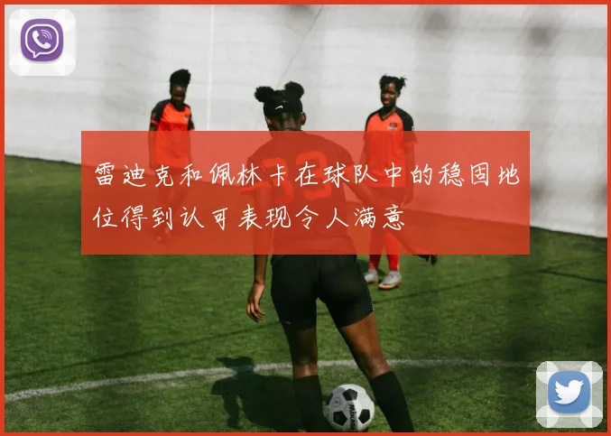 雷迪克和佩林卡在球队中的稳固地位得到认可表现令人满意