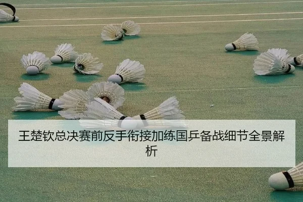 王楚钦总决赛前反手衔接加练国乒备战细节全景解析